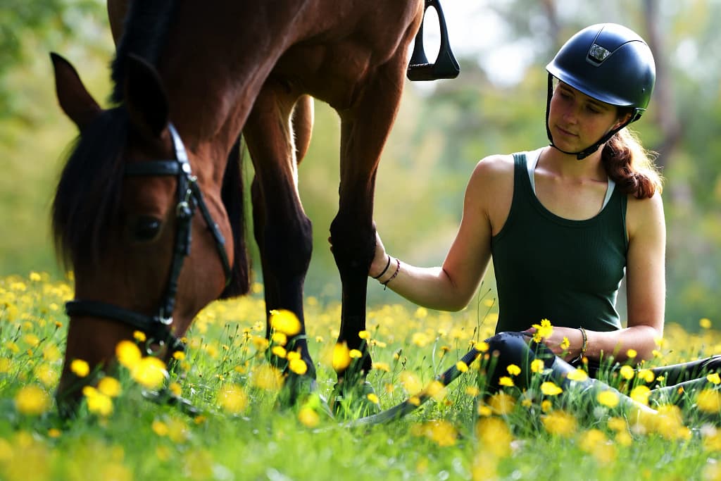 Moment câlin entre cheval et cavalière